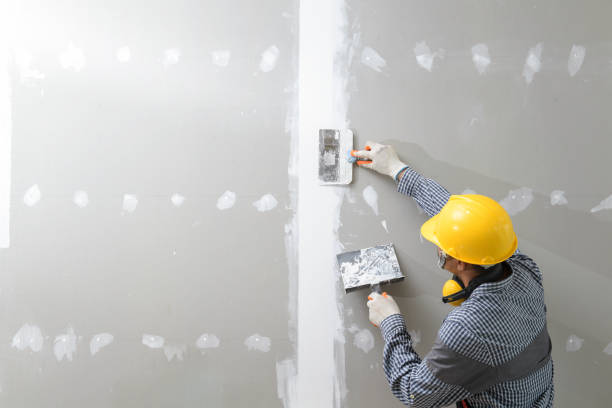 Best Drywall Installation  in USA